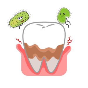 باکتری های دهان